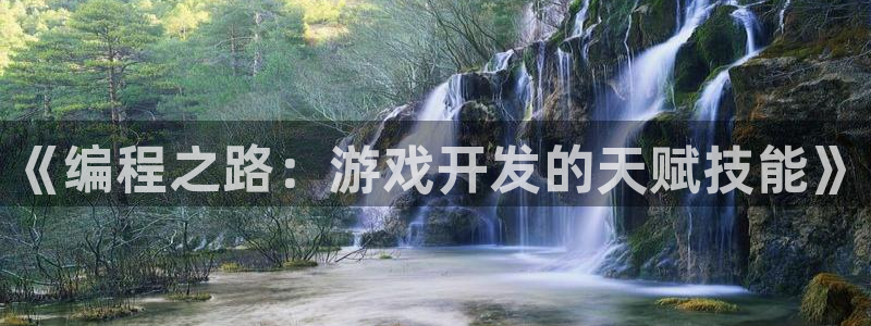 沐鸣平台代理注册多少钱一年：《编程之路：