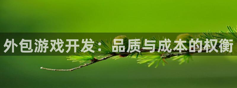 沐鸣娱乐ll官网：外包游戏开发：品质与成