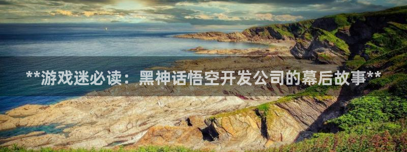 沐鸣娱乐怎么赚钱：**游戏迷必读：黑神话