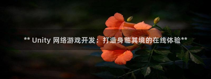 沐鸣娱乐：** Unity 网络游戏开发