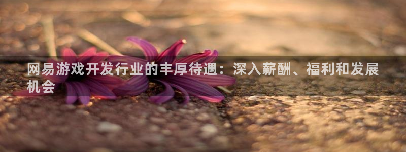 沐鸣1登录地址：网易游戏开发行业的丰厚待