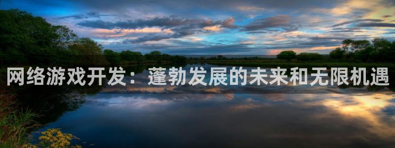 沐鸣平台代理注册多少钱一次：网络游戏开发