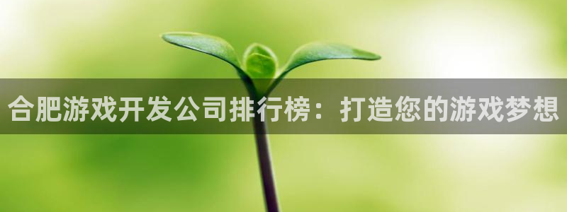 沐鸣娱乐官方网站下载：合肥游戏开发公司排