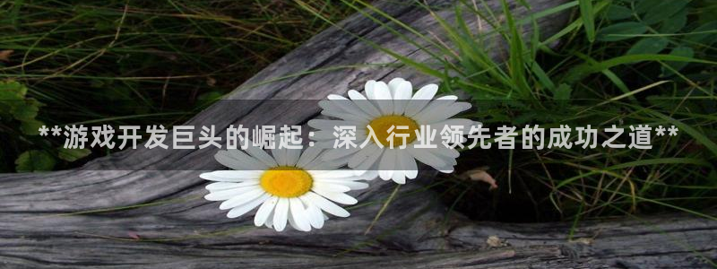 沐鸣登录地址：**游戏开发巨头的崛起：深