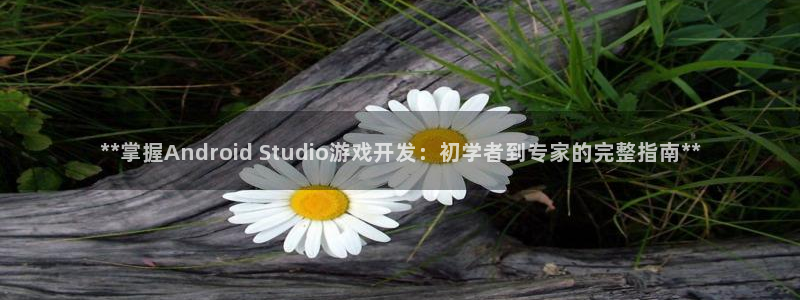 沐鸣1登录地址：**掌握Android 