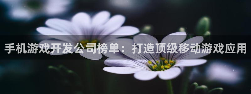 沐鸣平台怎么样：手机游戏开发公司榜单：打