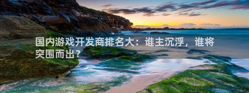 沐鸣娱乐官网入口：国内游戏开发商排名大：