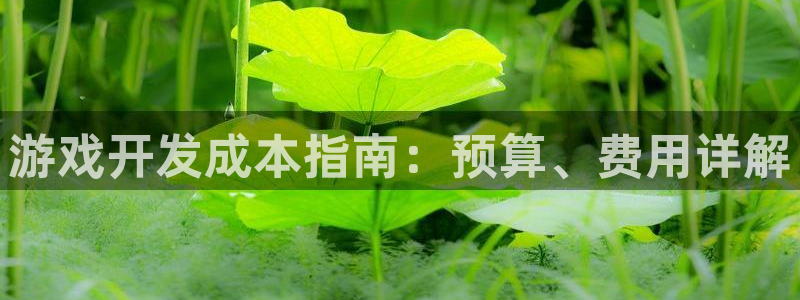 沐鸣科技有限公司怎么样：游戏开发成本指南