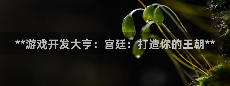 沐鸣娱乐平台登录不了：**游戏开发大亨：