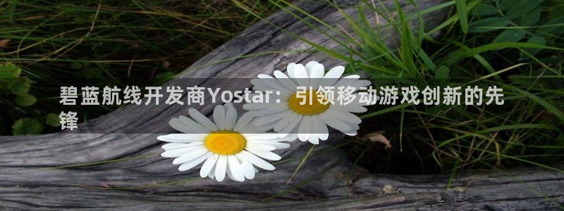 沐鸣娱乐怎么赚钱：碧蓝航线开发商Yost