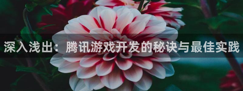 沐鸣娱乐1注册登录平台：深入浅出：腾讯游