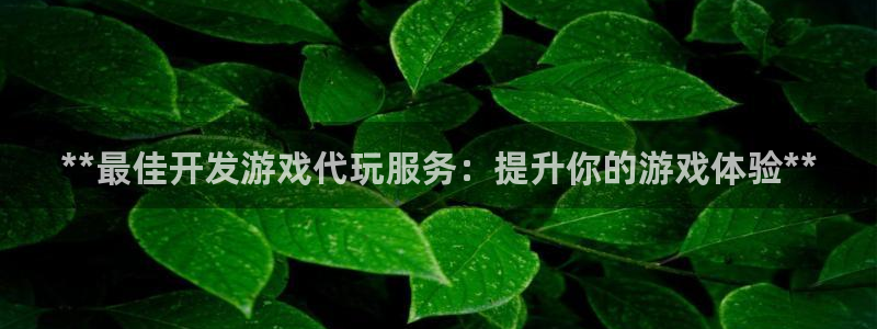沐鸣平台负责人：**最佳开发游戏代玩服务