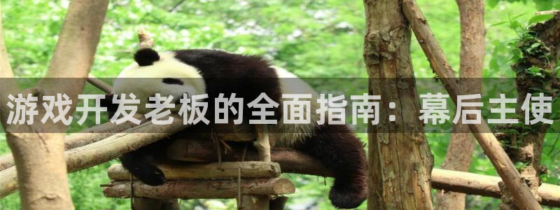 沐鸣官网登录：游戏开发老板的全面指南：幕