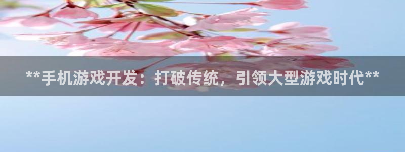 沐鸣娱乐股东：**手机游戏开发：打破传统