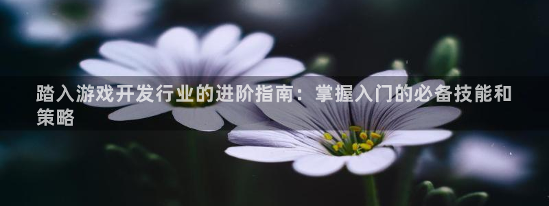 沐鸣娱乐注册平台怎么样：踏入游戏开发行业