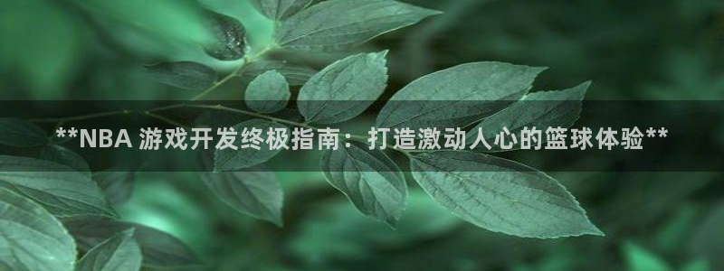 沐鸣娱乐1注册登录平台：**NBA 游戏