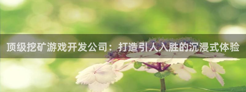 沐鸣注册会员中心：顶级挖矿游戏开发公司：