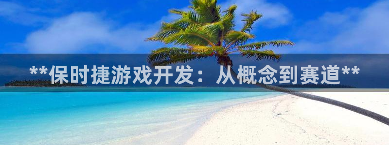 沐鸣是什么：**保时捷游戏开发：从概念到