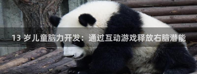 沐鸣平台代理：13 岁儿童脑力开发：通过
