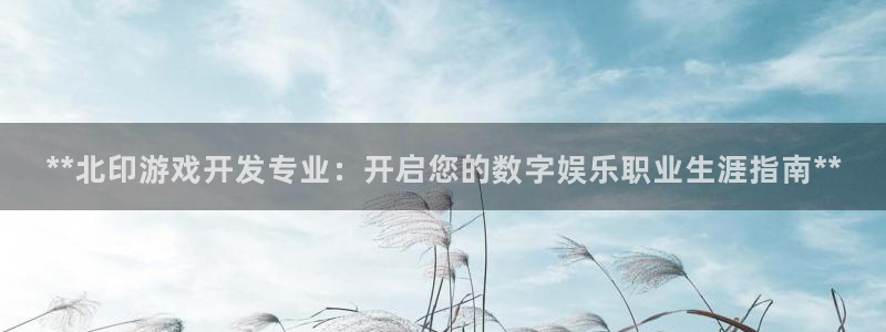 沐鸣科技做的游戏叫什么：**北印游戏开发