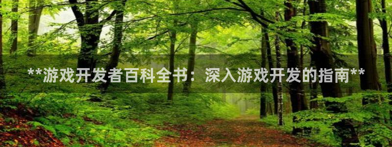 沐鸣代理登陆：**游戏开发者百科全书：深