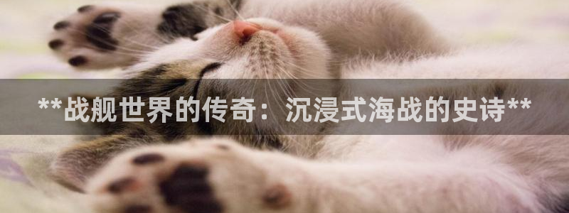 沐鸣3平台登录：**战舰世界的传奇：沉浸