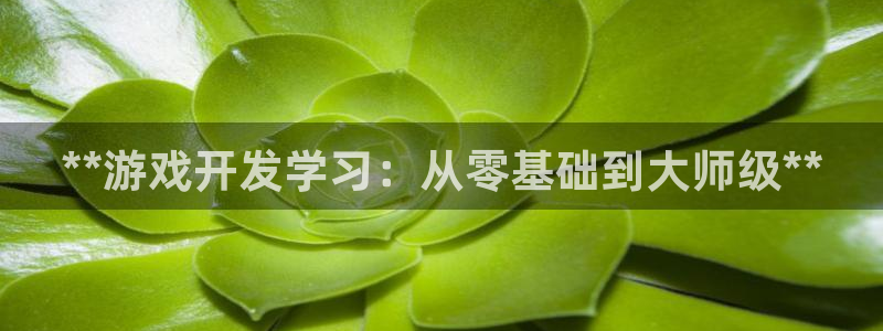 沐鸣娱乐平台登录入口官网下载：**游戏开