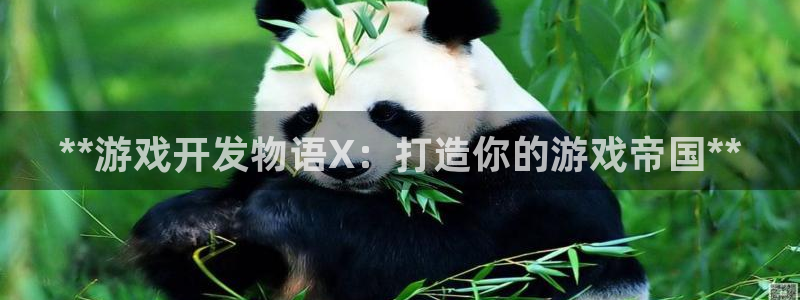 沐鸣代理登陆：**游戏开发物语X：打造你