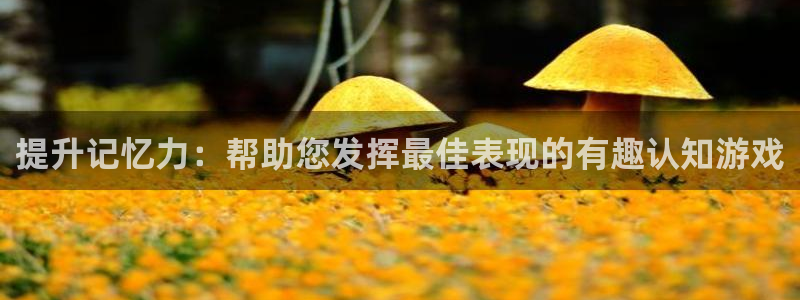 沐鸣科技做的游戏怎么样：提升记忆力：帮助