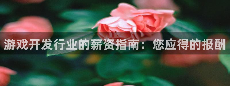 沐鸣平台主管：游戏开发行业的薪资指南：您