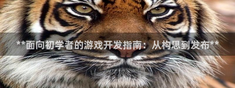 沐鸣娱乐平台大不大：**面向初学者的游戏