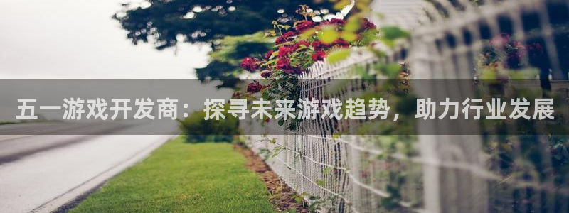 沐鸣娱乐是真的吗：五一游戏开发商：探寻未