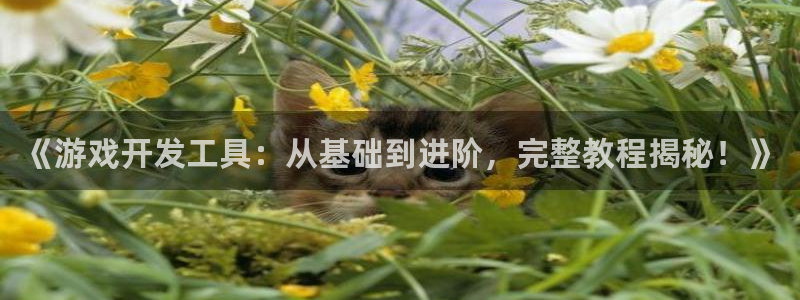 沐鸣3平台登录：《游戏开发工具：从基础到