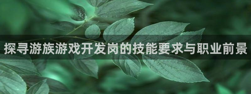 沐鸣官网登录：探寻游族游戏开发岗的技能要