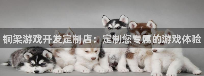 沐鸣网址官网首页：铜梁游戏开发定制店：定