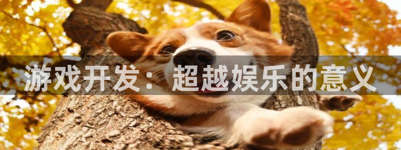 沐鸣娱乐注册平台官网：游戏开发：超越娱乐