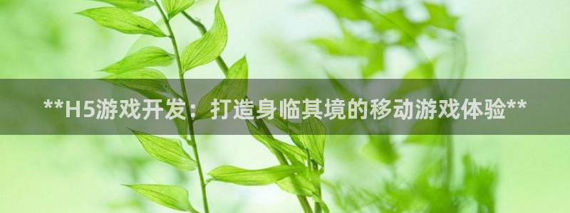 沐鸣娱乐平台怎么样知乎：**H5游戏开发