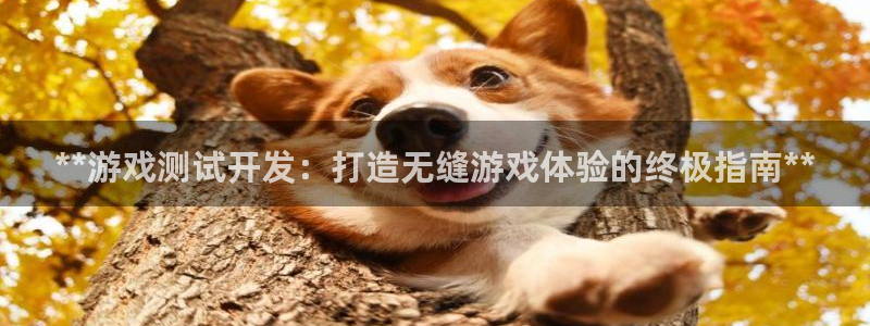 沐鸣科技游戏app：**游戏测试开发：打