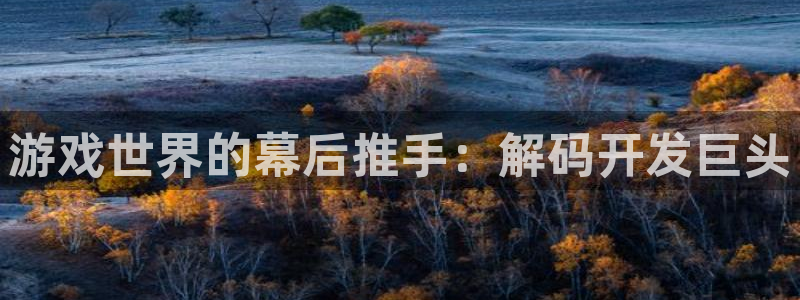 沐鸣科技和沐瞳科技的关系：游戏世界的幕后