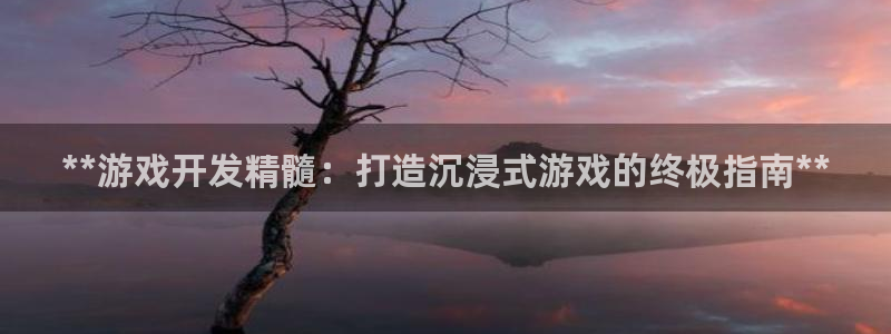 沐鸣平台~53866：**游戏开发精髓：