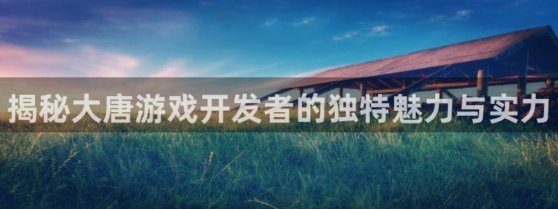 沐鸣注册会员中心：揭秘大唐游戏开发者的独