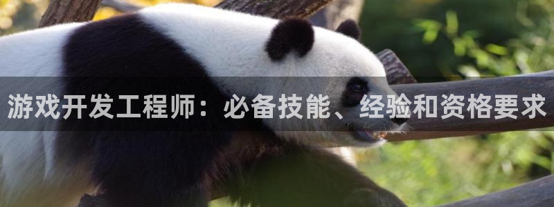 沐鸣娱乐ⅱ：游戏开发工程师：必备技能、经