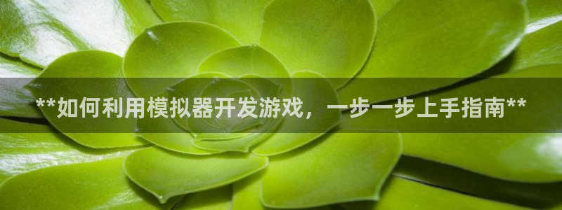 沐鸣平台总代：**如何利用模拟器开发游戏