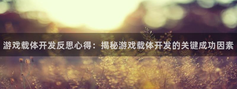沐鸣注册问一问：游戏载体开发反思心得：揭