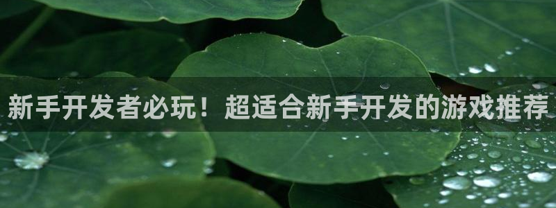 沐鸣娱乐平台登录入口：新手开发者必玩！超