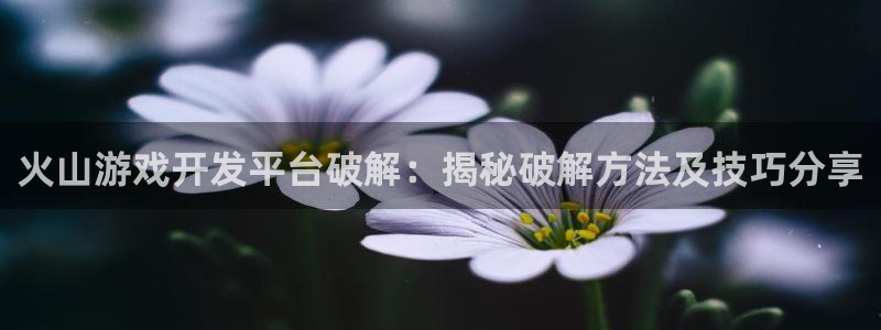 沐鸣注册网站：火山游戏开发平台破解：揭秘