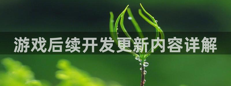 沐鸣平台代理：游戏后续开发更新内容详解