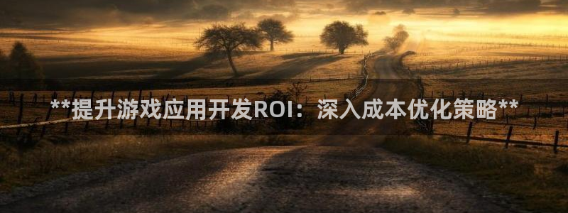 沐鸣3注册：**提升游戏应用开发ROI：