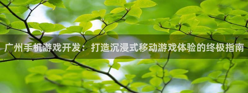 沐鸣娱乐在线登录：广州手机游戏开发：打造