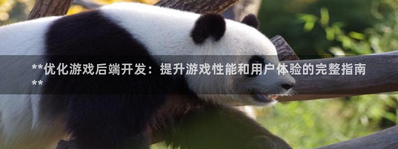 沐鸣科技有哪些产品：**优化游戏后端开发